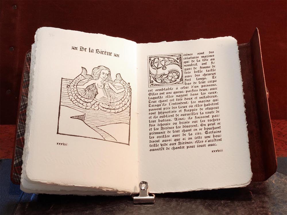 placeholder image-sq