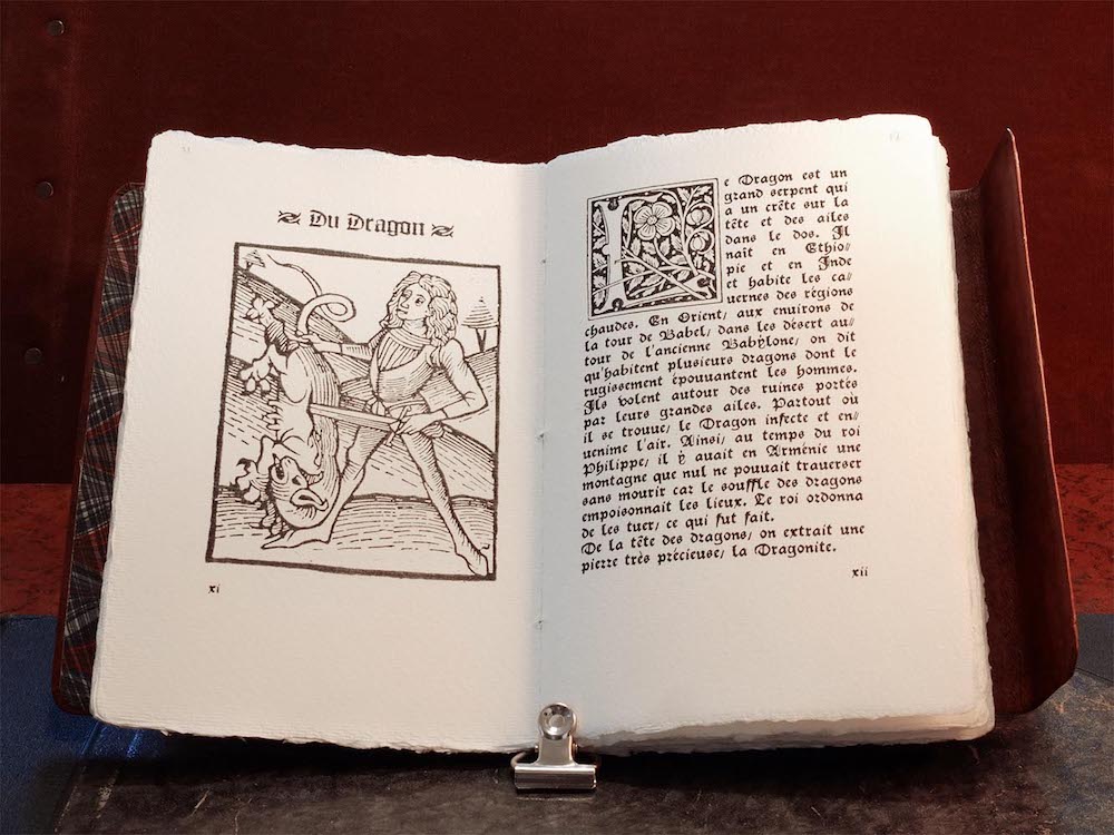 placeholder image-sq