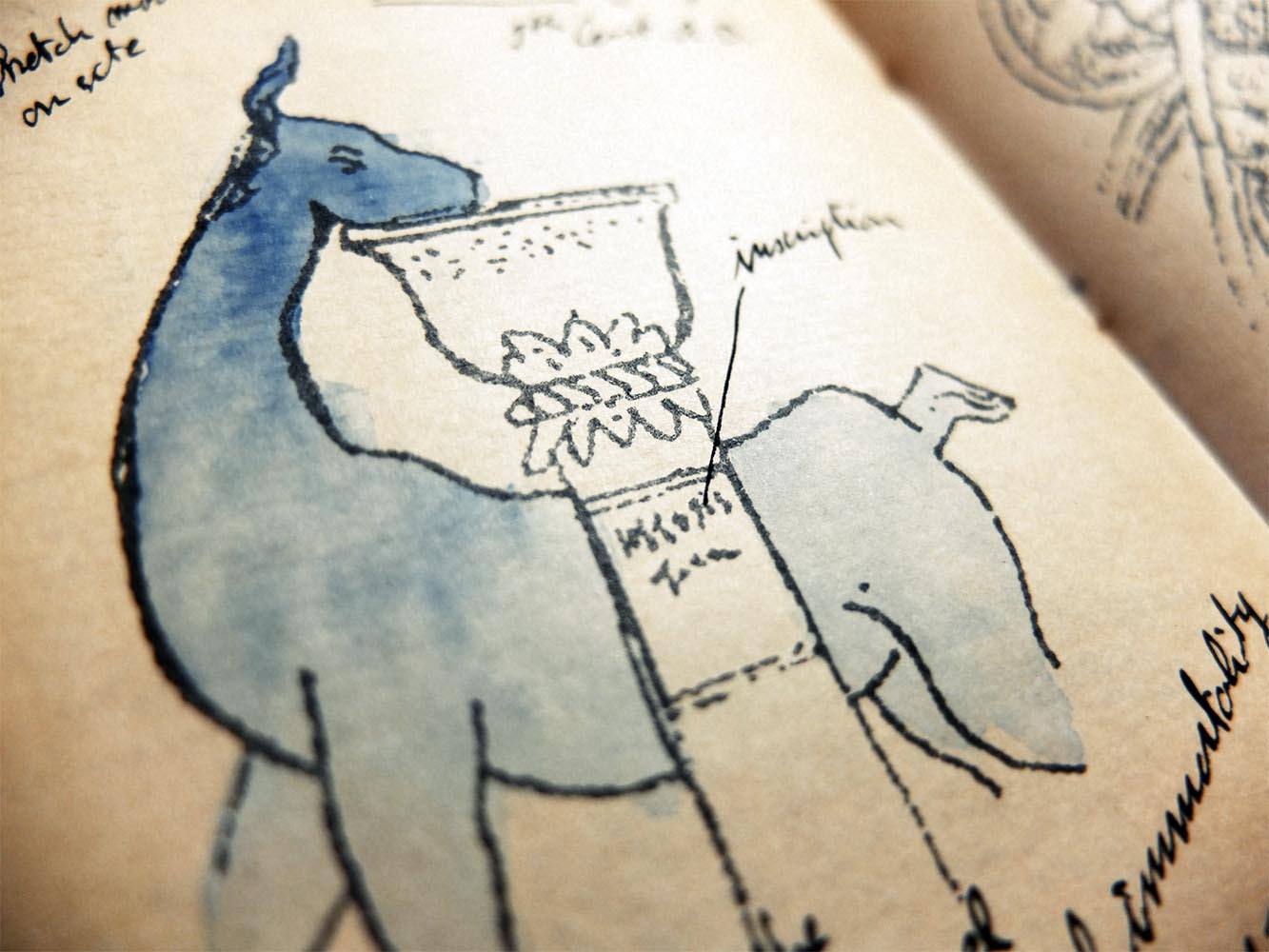 placeholder image-sq